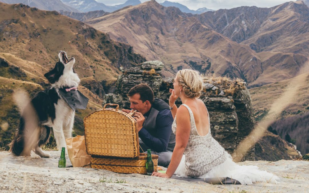 Our Favourite YBD Wedding Dogs